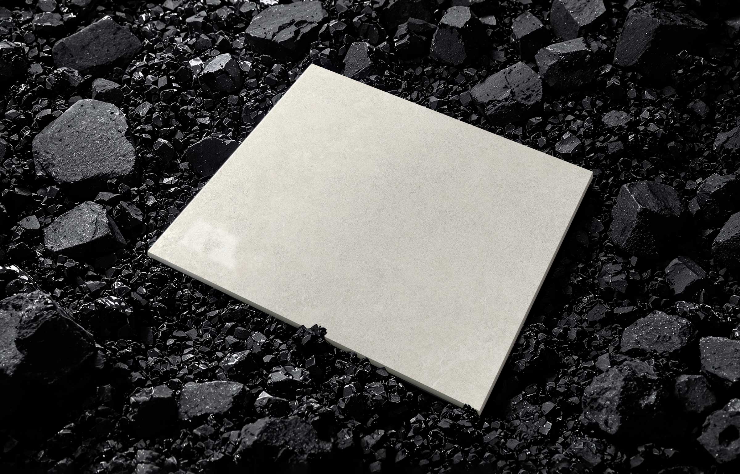 S8602W